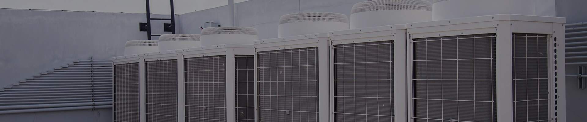 Cixi Chenfeng Electric Co., Ltd